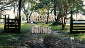 Lodestar Farms