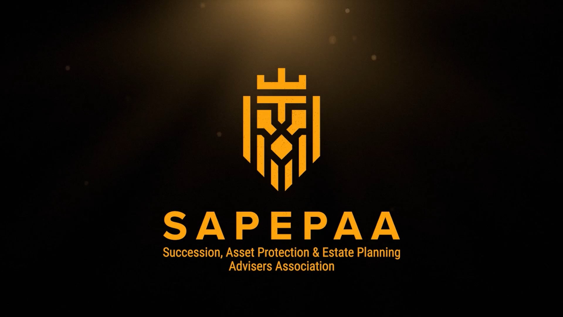 SAPEPAA - Successor Director