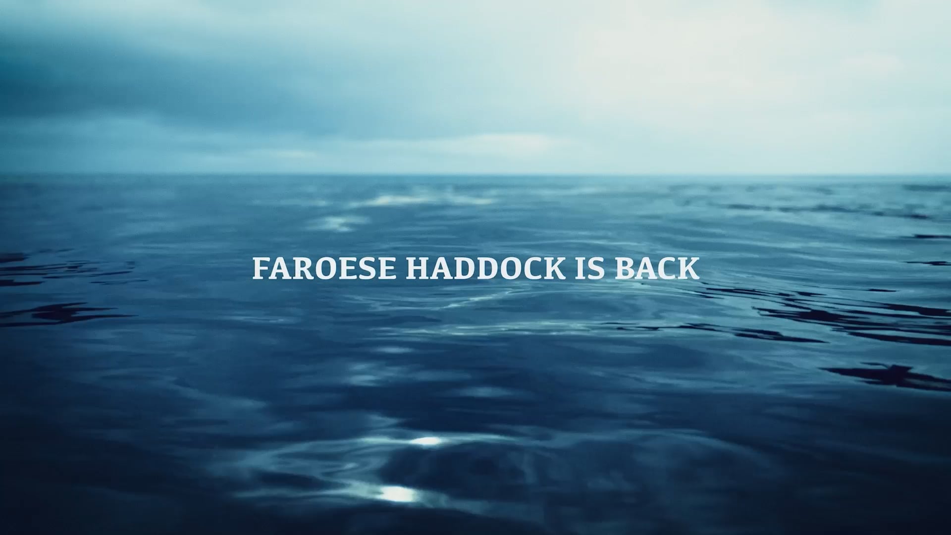 JFK_Haddock_01_1