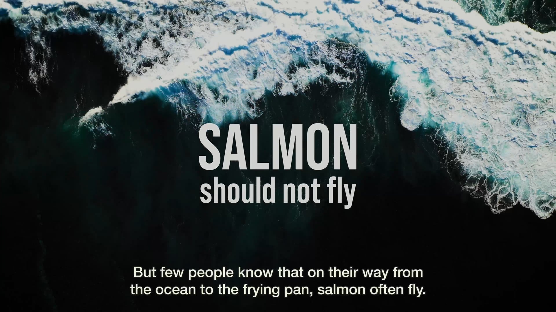 Hiddenfjord_short_FINAL_01_1