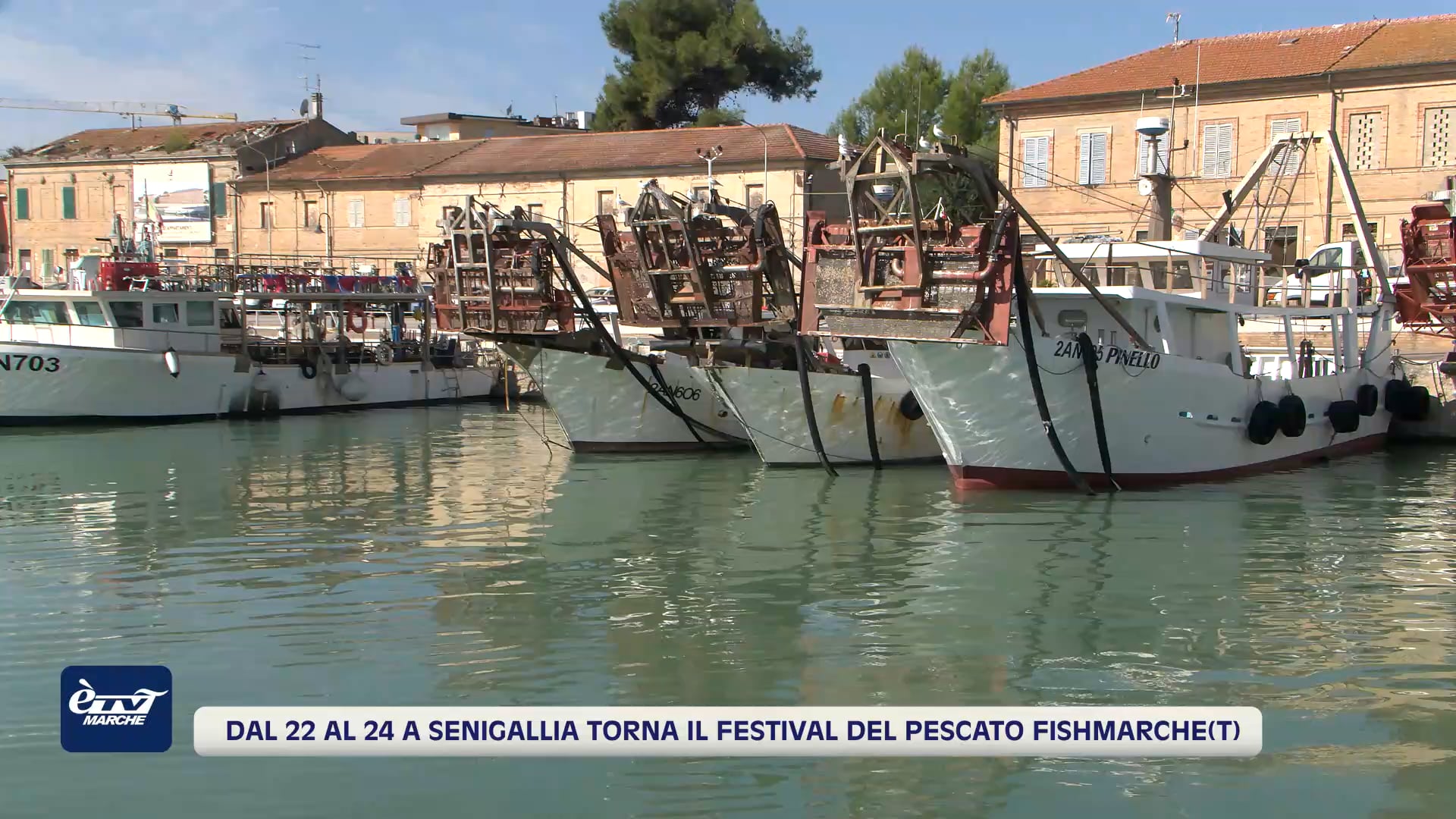 Dal 22 al 24 settembre a Senigallia torna Fishmarche(t) - VIDEO