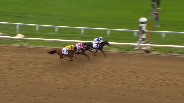 Defining Purpose | 2023 Ashland (G1) at Keeneland