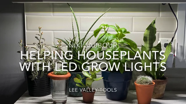 Favoriser la croissance de plantes d'intérieur avec des lampes de serre DEL  - Lee Valley Tools