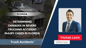 Levin Litigation Video Thumbnail