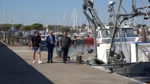 El Ministeri fa marxa enrere i la veda de 4 mesos de sardina queda en punt mort