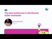 The data bottleneck in distributed AI/ML workloads
