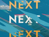 Bullshark Vs Hammerhead