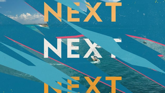 Bullshark Vs Hammerhead