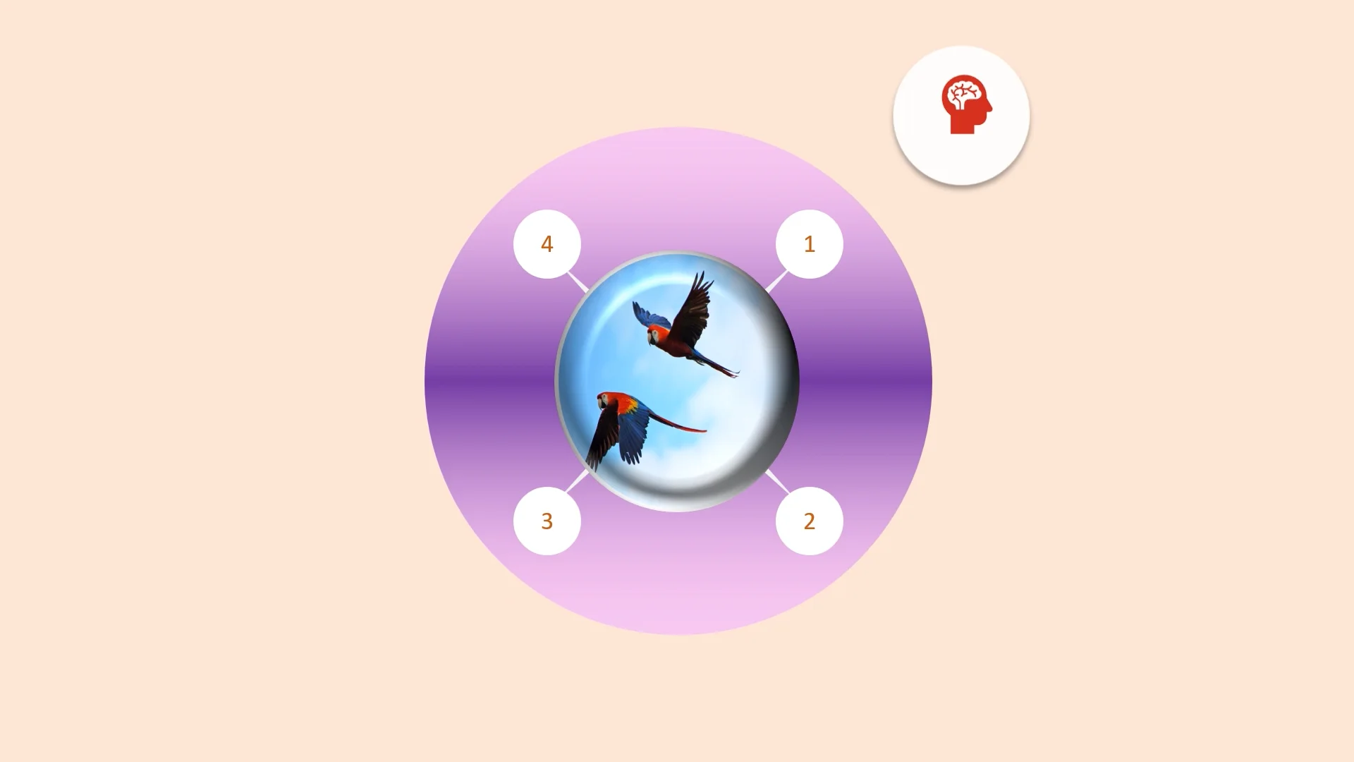 Interactive Infographic PowerPoint Presentation on Vimeo