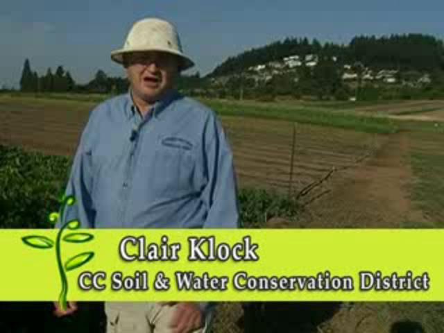 Farm Fresh