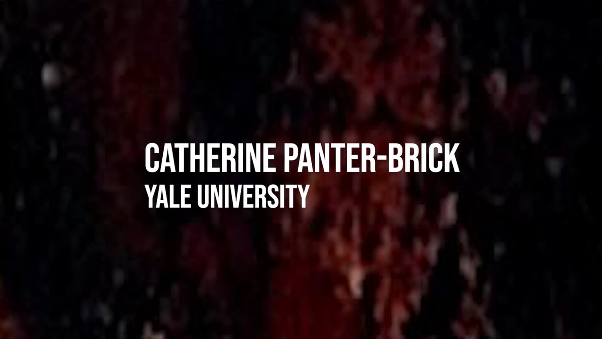 Catherine Panter Brick: Living With Disappearance
