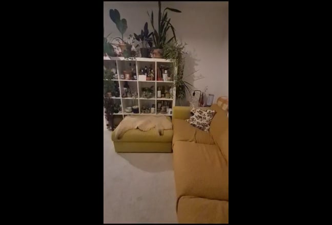 Video 1: Your room. King sized bed