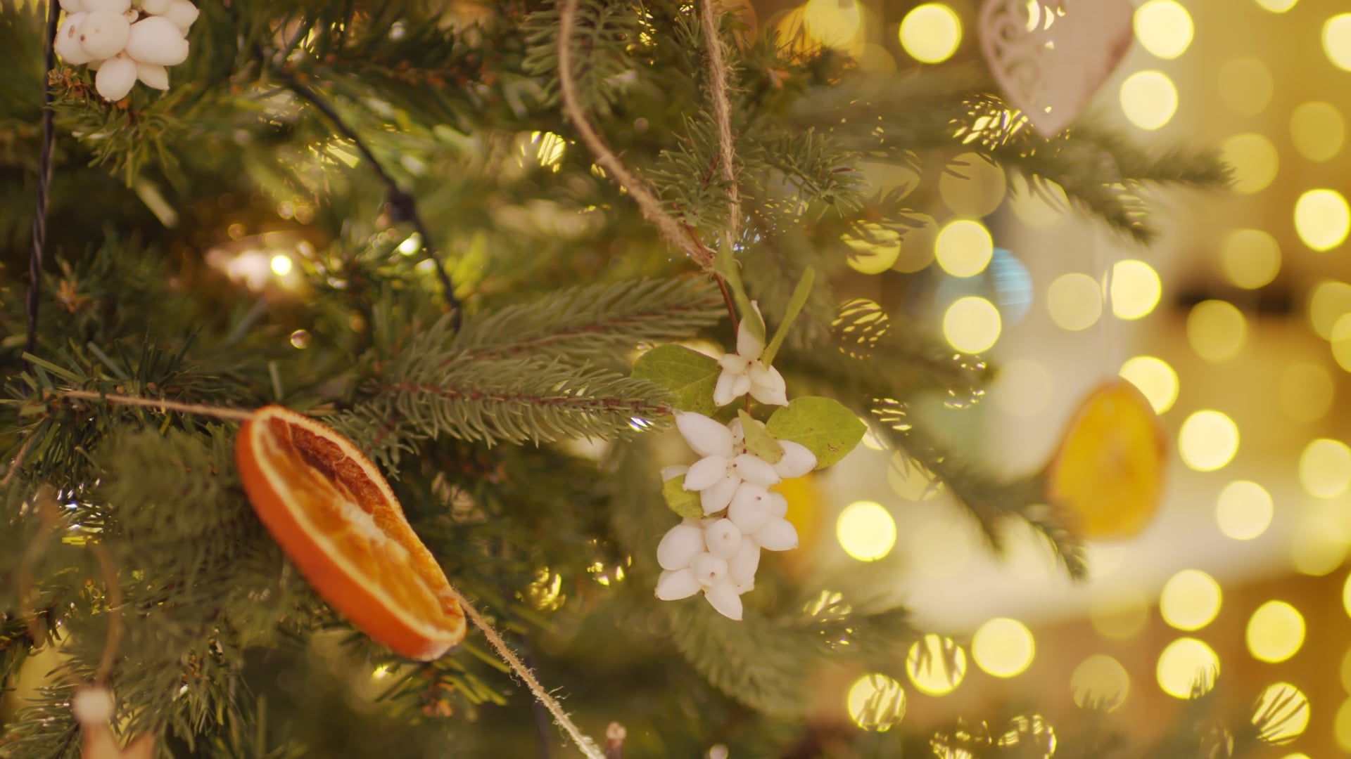 Christmas Trees Dublin 9