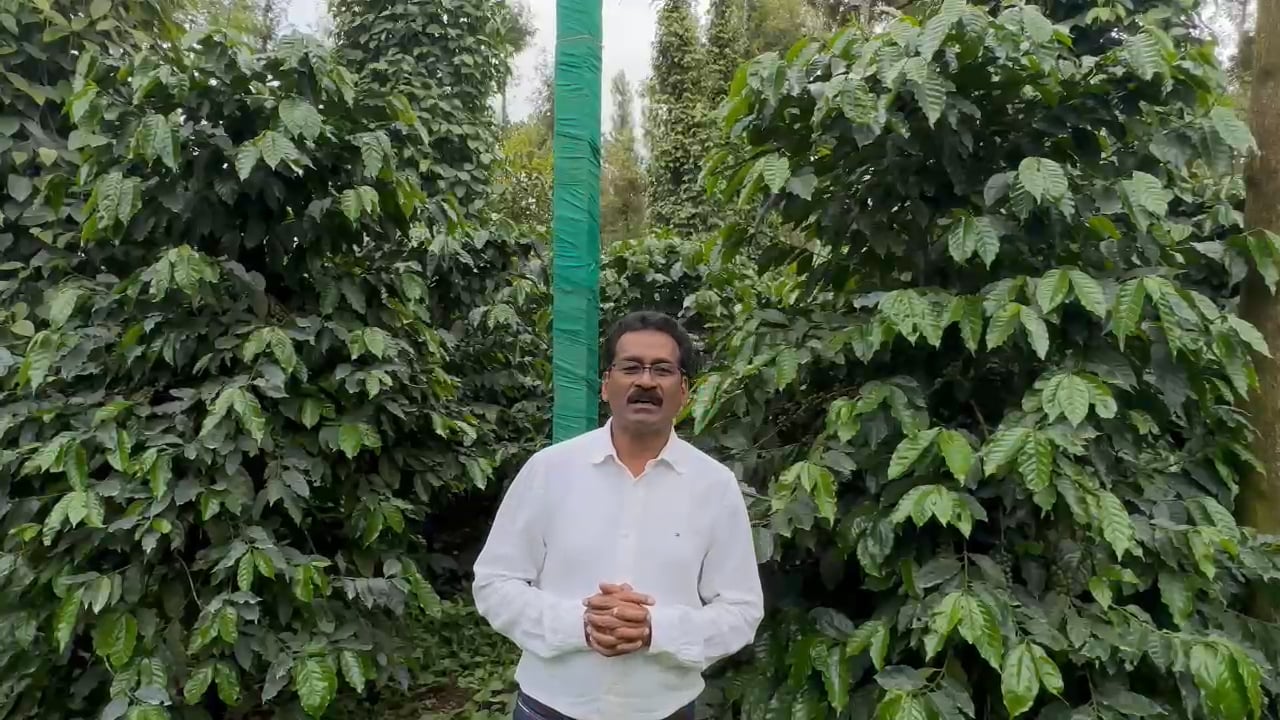 https://i.vimeocdn.com/video/1728560986-cd28de2758c955b47843ef36684c18b5b9d6564bdf640de690d1177b402eabe3-d