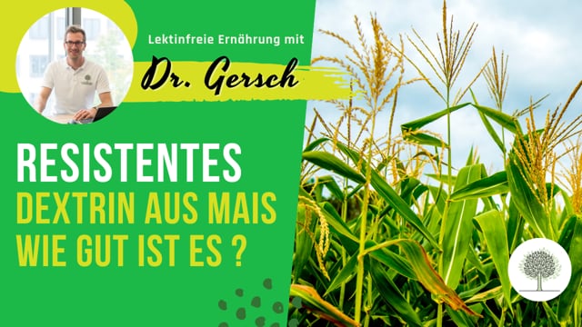 Kann man resistentes Dextrin aus Mais auf einer lektinfreien Ernährung essen?