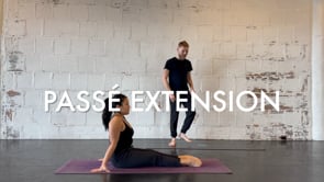 EXERCISE 6: Passé Extension