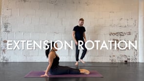 EXERCISE 8: Extension Rotation