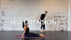 EXERCISE 7: Leg Extensions