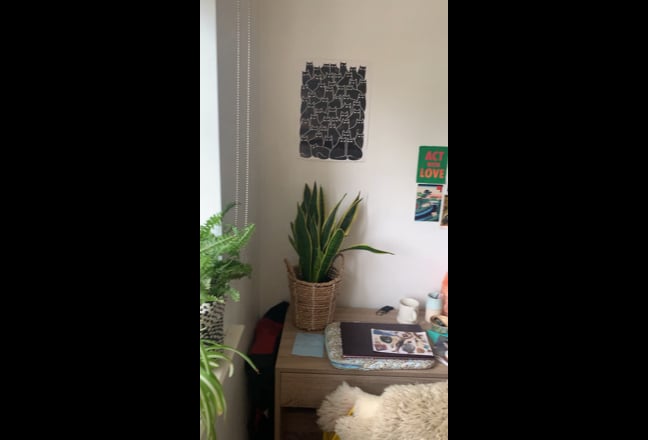 Cosy spare room available Main Photo