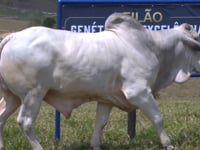Lote 72