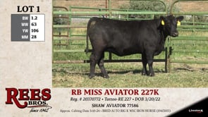 Lot #1 - RB MISS AVIATOR 227K