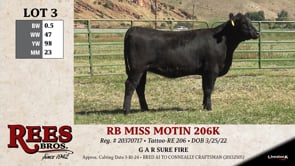 Lot #3 - RB MISS MOTIN 206K