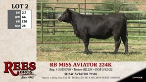 Lot #2 - RB MISS AVIATOR 224K