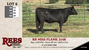 Lot #6 - RB MISS FLAME 214K