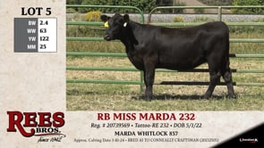 Lot #5 - RB MISS MARDA 232