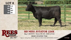 Lot #8 - RB MISS AVIATOR 226K