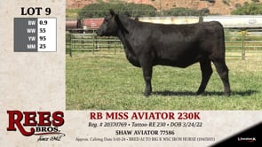 Lot #9 - RB MISS AVIATOR 230K