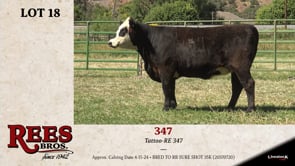 Lot #18 - 347