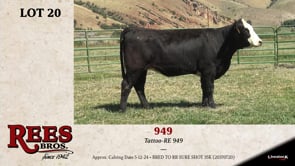 Lot #20 - 949