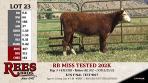 Lot #23 - RB MISS TESTED 202K