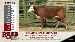 Lot #22 - RB MISS ON TIME 244K