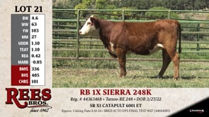 Lot #21 - RB 1X SIERRA 248K