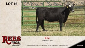 Lot #16 - 612