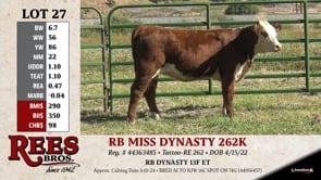 Lot #27 - RB MISS DYNASTY 262K