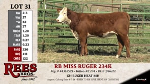Lot #31 - RB MISS RUGER 234K