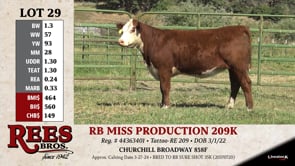 Lot #29 - RB MISS PRODUCTION 209K