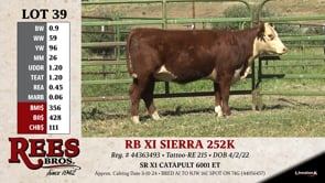 Lot #39 - RB XI SIERRA 252K