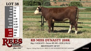 Lot #38 - RB MISS DYNASTY 208K