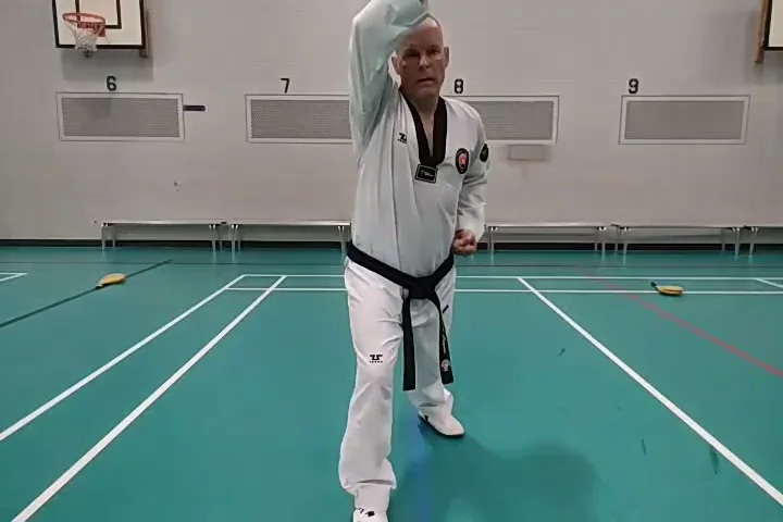 7th Kup - Long Stance Face Block, Low Block on Vimeo