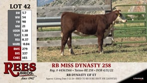 Lot #42 - RB MISS DYNASTY 258