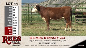 Lot #44 - RB MISS DYNASTY 253