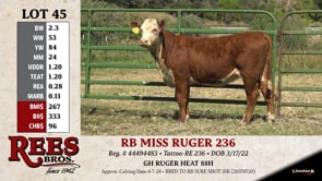 Lot #45 - RB MISS RUGER 236