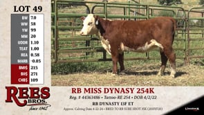 Lot #49 - RB MISS DYNASY 254K