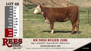 Lot #48 - RB MISS RUGER 218K