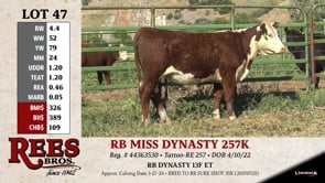 Lot #47 - RB MISS DYNASTY 257K