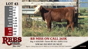 Lot #43 - RB MISS ON CALL 265K